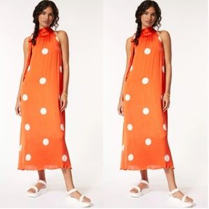 NWT Anthropologie Polka Dot Maxi Dress